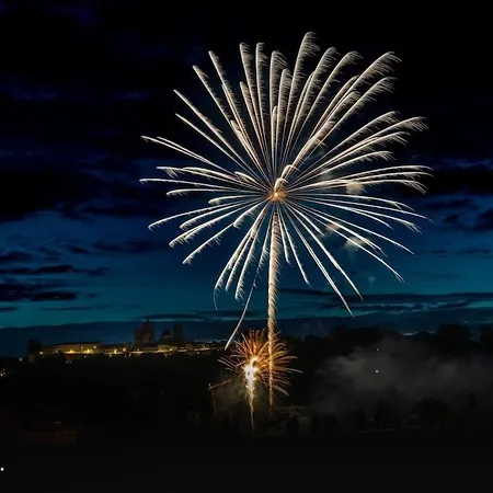 5 Fleurs Pour Anne *